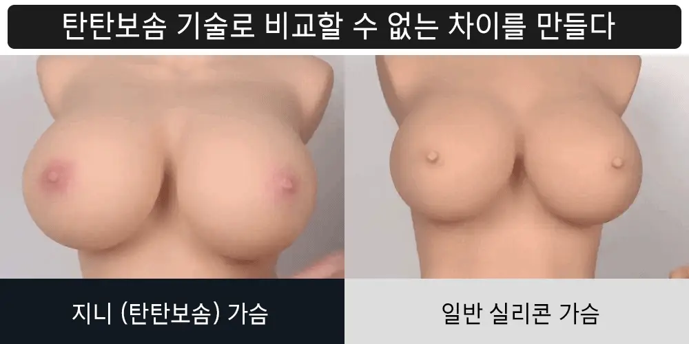 5438218.webp