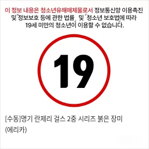 [수동]명기 란제리 걸스 2중 시리즈 붉은 장미 (에리카)