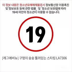 [레그에비뉴] 구멍이 숭숭 뚫려있는 스타킹 LA7306
