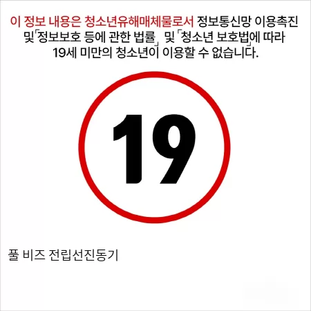 풀 비즈 전립선진동기